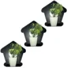 3 Pcs