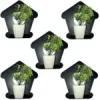 5 Pcs