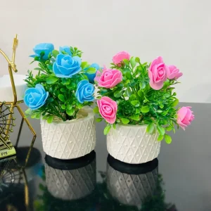 Pine Rose Flowers Mini Plant