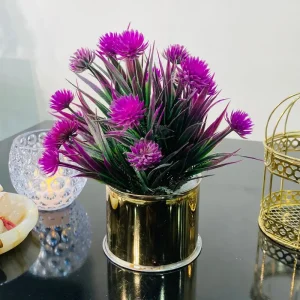 Star Shaped Floral Plant with Metal Pot