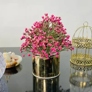 Gypsophila Plant with Metal Pot