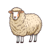 Sheep
