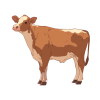 Cow