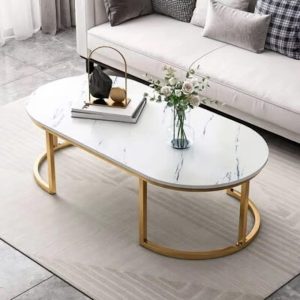 Oval Sahped Modern Coffee table