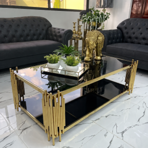 2 Layered Modern Coffee Table